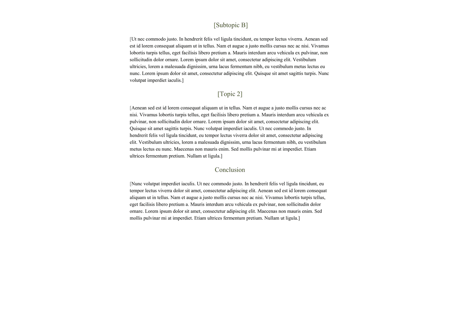 Essay template preview 2