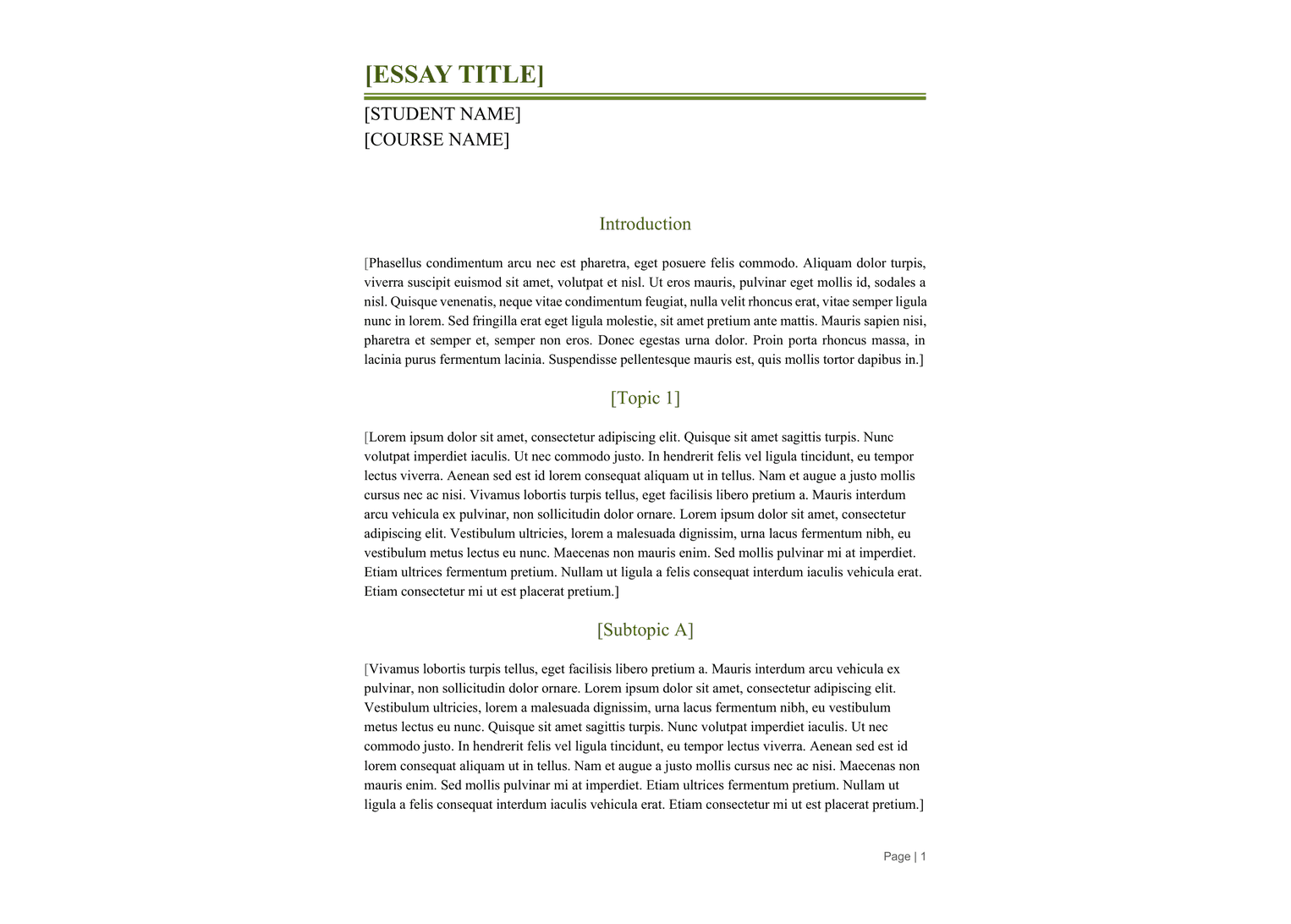 Essay template preview 1
