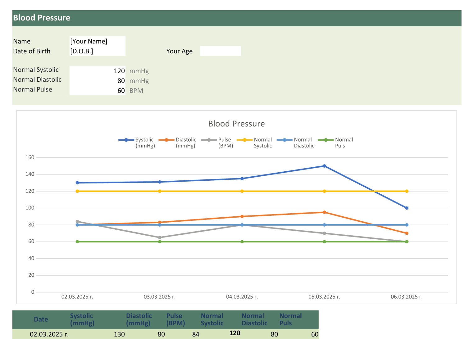 Blood Pressure Monitor template preview