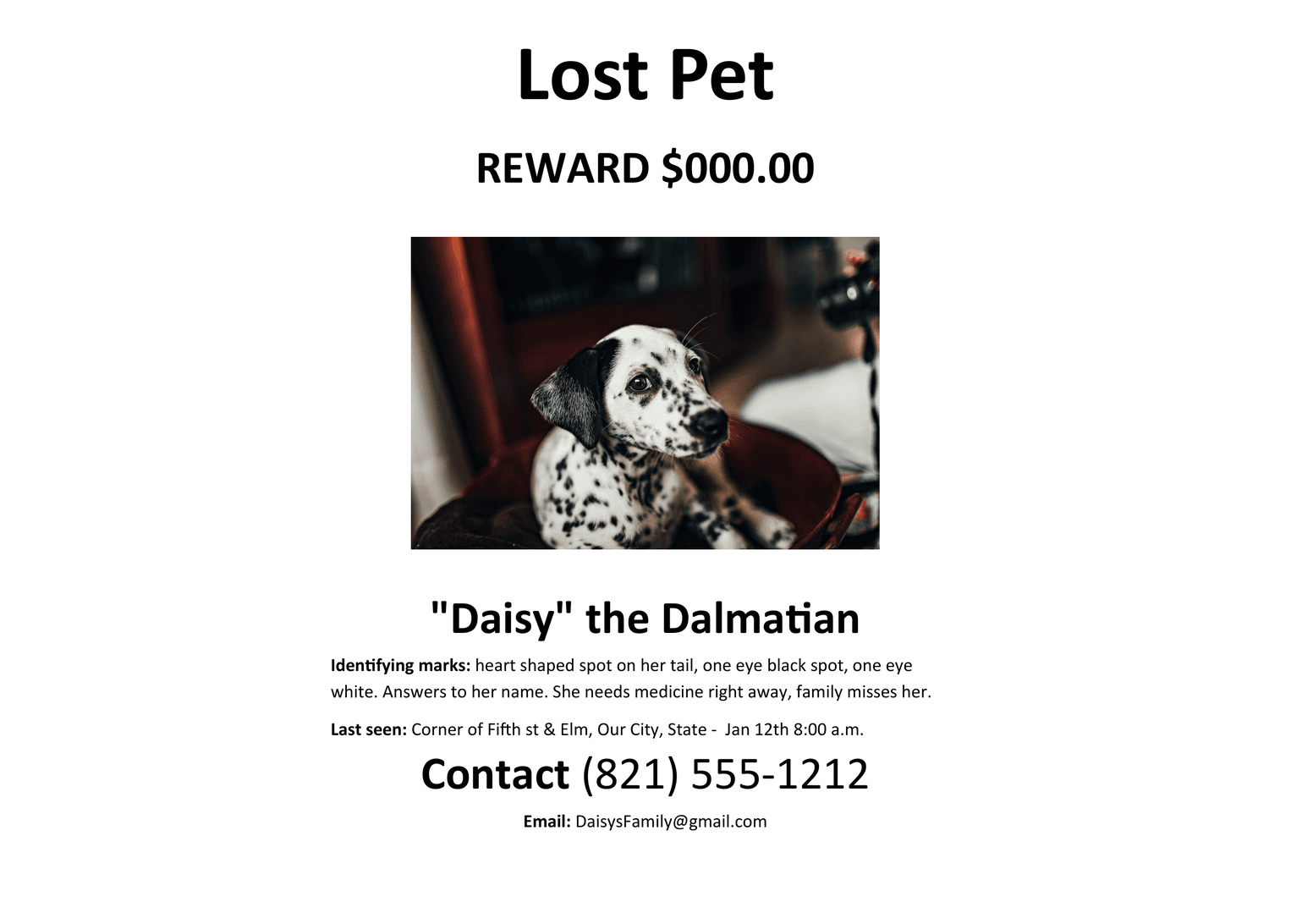 Lost Pet template preview